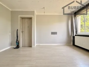 Prodej rodinného domu, Svojšín, 160 m2