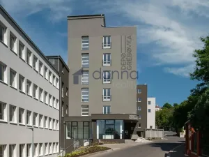 Pronájem bytu 2+kk, Praha, Perucká, 37 m2