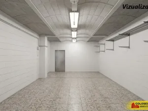 Pronájem výrobních prostor, Brno - Dolní Heršpice, 340 m2