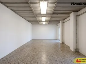 Pronájem výrobních prostor, Brno - Dolní Heršpice, 340 m2