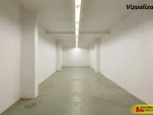 Pronájem výrobních prostor, Brno - Dolní Heršpice, 340 m2