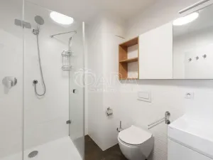 Pronájem bytu 4+kk, Praha - Hloubětín, K náhonu, 119 m2