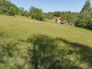 Prodej pozemku pro bydlení, Sušice - Záluží, 2272 m2