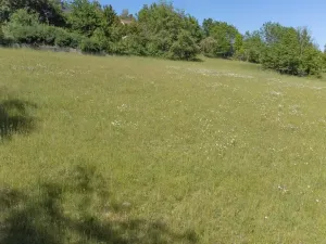 Prodej pozemku pro bydlení, Sušice - Záluží, 2272 m2