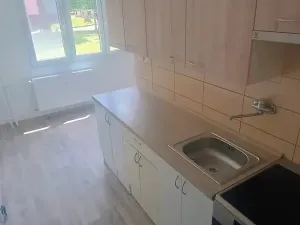 Pronájem bytu 2+1, Plasy, Babinská, 58 m2