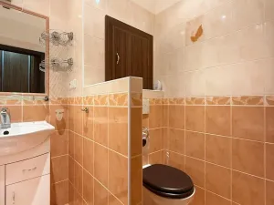 Pronájem bytu 2+1, Most, Zdeňka Štěpánka, 50 m2