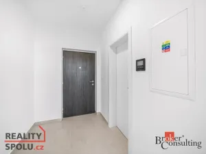 Pronájem bytu 1+kk, Plzeň - Jižní Předměstí, Železná, 42 m2