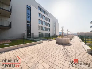 Pronájem bytu 1+kk, Plzeň - Jižní Předměstí, Železná, 42 m2