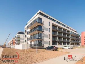 Pronájem bytu 1+kk, Plzeň - Jižní Předměstí, Železná, 42 m2