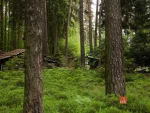Prodej pozemku pro bydlení, Letkov, 1366 m2