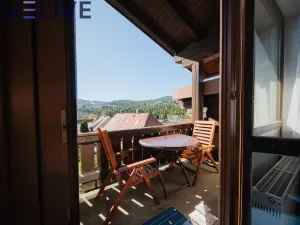 Prodej bytu 1+kk, Železná Ruda - Alžbětín, Německo, 25 m2