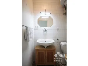 Pronájem bytu 1+kk, Praha - Karlín, Šaldova, 25 m2
