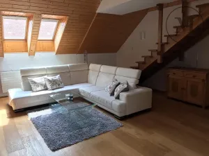 Pronájem bytu 3+kk, České Budějovice, Branišovská, 140 m2