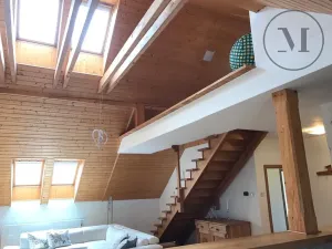 Pronájem bytu 3+kk, České Budějovice, Branišovská, 140 m2