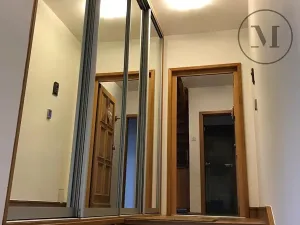 Pronájem bytu 3+kk, České Budějovice, Branišovská, 140 m2