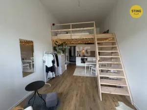 Prodej bytu 1+kk, Ostrava, Palackého, 27 m2