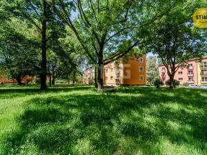 Prodej bytu 2+1, Ostrava, Jubilejní, 45 m2
