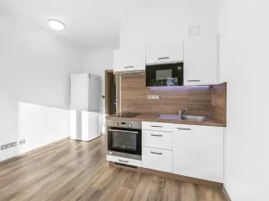 Pronájem bytu 1+kk, Plzeň - Severní Předměstí, Bolevecká, 37 m2