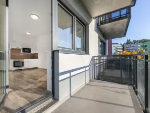 Pronájem bytu 1+kk, Plzeň - Severní Předměstí, Bolevecká, 37 m2