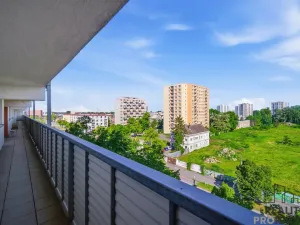 Prodej bytu 2+1, Pardubice - Zelené Předměstí, Palackého třída, 69 m2