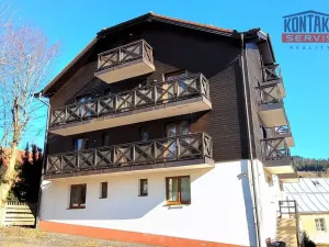 Pronájem bytu 1+kk, Železná Ruda, Belvederská, 50 m2