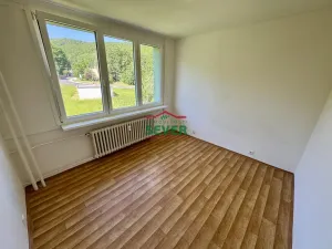 Prodej bytu 4+1, Litvínov - Janov, Hamerská, 80 m2