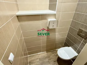 Prodej rodinného domu, Louny - Nečichy, 220 m2