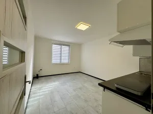Prodej bytu 1+kk, Příbram, Ve Dvoře, 25 m2