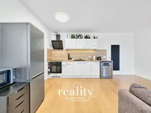 Pronájem bytu 2+kk, Brno, Mlýnská, 60 m2