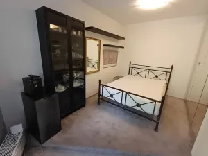Pronájem bytu 1+kk, Praha - Podolí, Brabcova, 44 m2