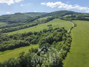 Prodej sadu/vinice, Nedašov, 1282 m2