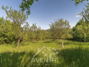 Prodej sadu/vinice, Nedašov, 1282 m2