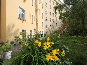 Pronájem bytu 2+kk, Praha - Vinohrady, Pod Zvonařkou, 50 m2