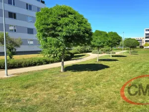 Prodej bytu 2+kk, Praha, Jurkovičova, 58 m2