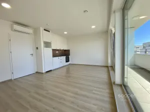 Pronájem bytu 1+kk, Mladá Boleslav, Nad Červenkou, 40 m2