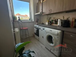 Pronájem bytu 1+kk, Opava - Předměstí, Olbrichova, 30 m2