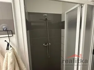 Pronájem bytu 1+kk, Opava - Předměstí, Olbrichova, 30 m2