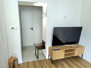 Prodej bytu 1+kk, Praha - Břevnov, Vodňanského, 28 m2