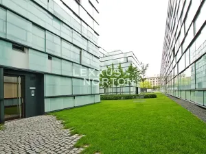 Pronájem bytu 2+kk, Praha - Karlín, Šaldova, 54 m2