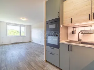 Pronájem bytu 2+kk, Kralupy nad Vltavou, Lobeč, 41 m2