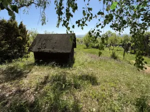 Prodej zahrady, Kyjov - Bohuslavice, 1286 m2