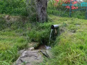 Prodej chalupy, Bozkov, 126 m2