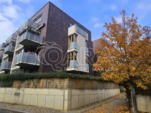 Pronájem bytu 2+kk, Praha - Žižkov, Olgy Havlové, 50 m2