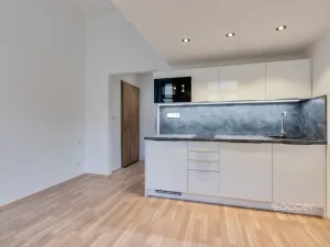 Pronájem bytu 1+kk, Praha - Smíchov, Radlická, 21 m2