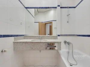 Pronájem bytu 1+kk, Praha - Smíchov, Radlická, 21 m2