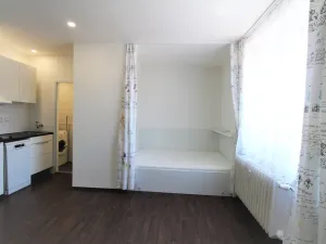Pronájem bytu 1+kk, Plzeň - Východní Předměstí, Slovanská, 27 m2