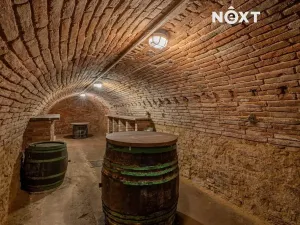Prodej rodinného domu, Šakvice, Sklepní, 130 m2