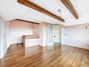 Prodej rodinného domu, Týnec nad Labem - Vinařice, 384 m2