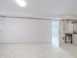 Prodej rodinného domu, Týnec nad Labem - Vinařice, 384 m2
