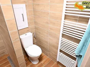 Pronájem bytu 3+1, Opava, Krnovská, 78 m2